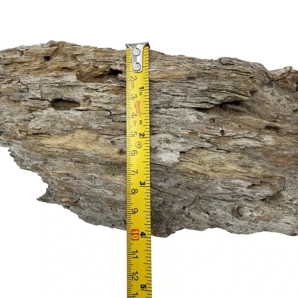 Curved Weathered Driftwood Slab with Deep Texture – Organic Natural Wood Decor